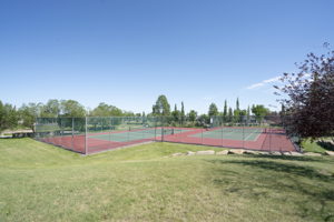 35 Somerset Square SW, Calgary, AB T2Y 3C7, Canada Photo 53