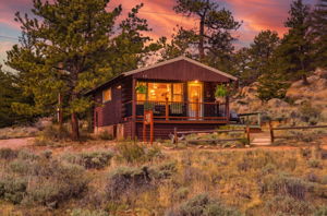  Photo 50