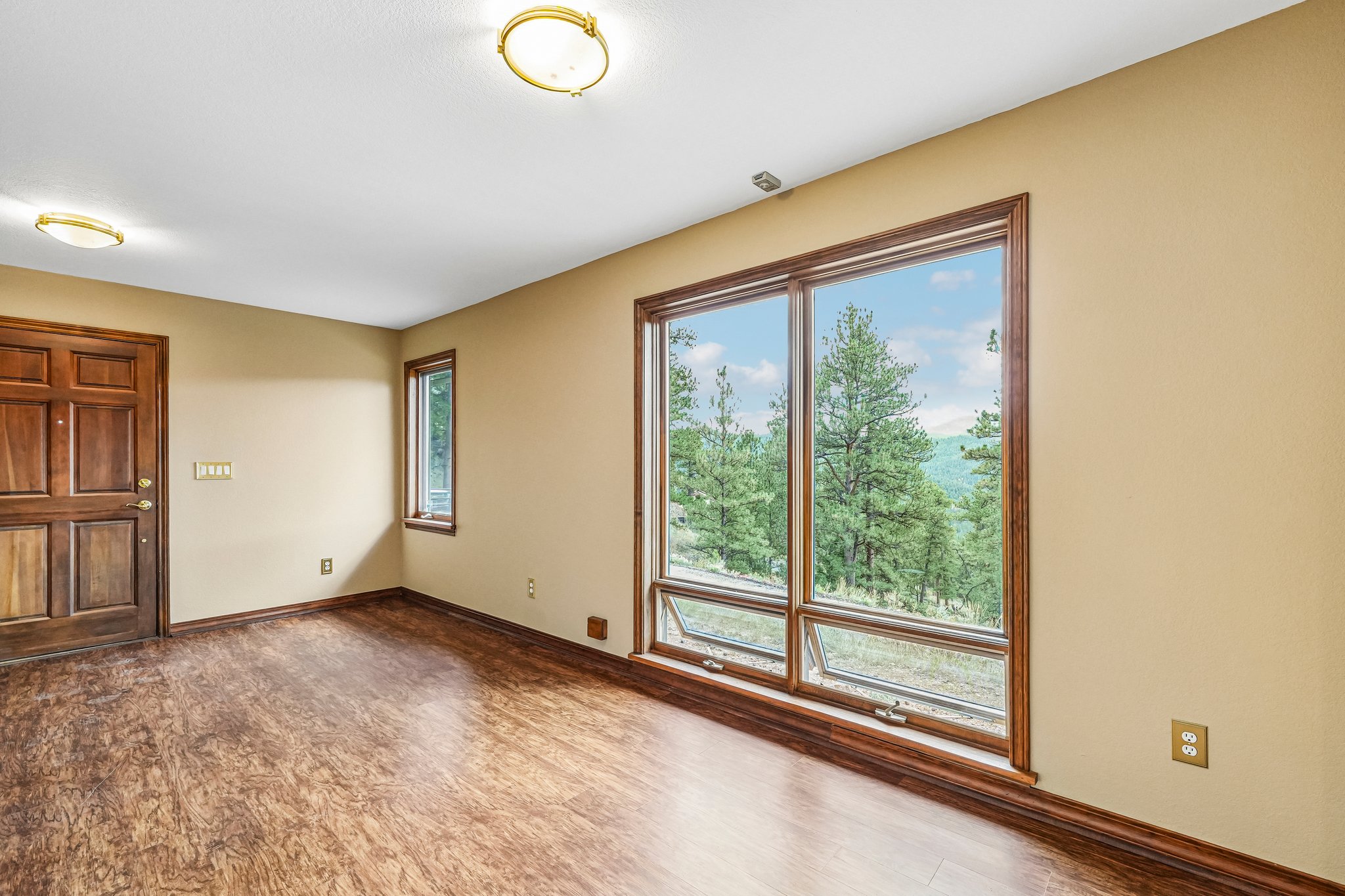 Conifer Dr-S0910-008.jpg