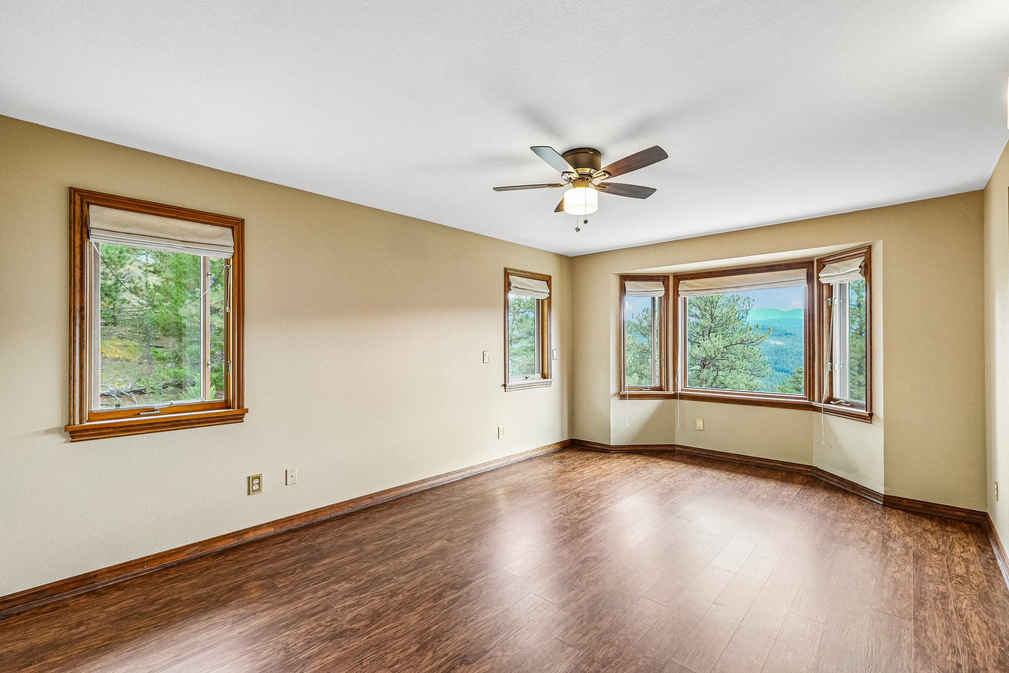 Conifer Dr-S0910-035.jpg