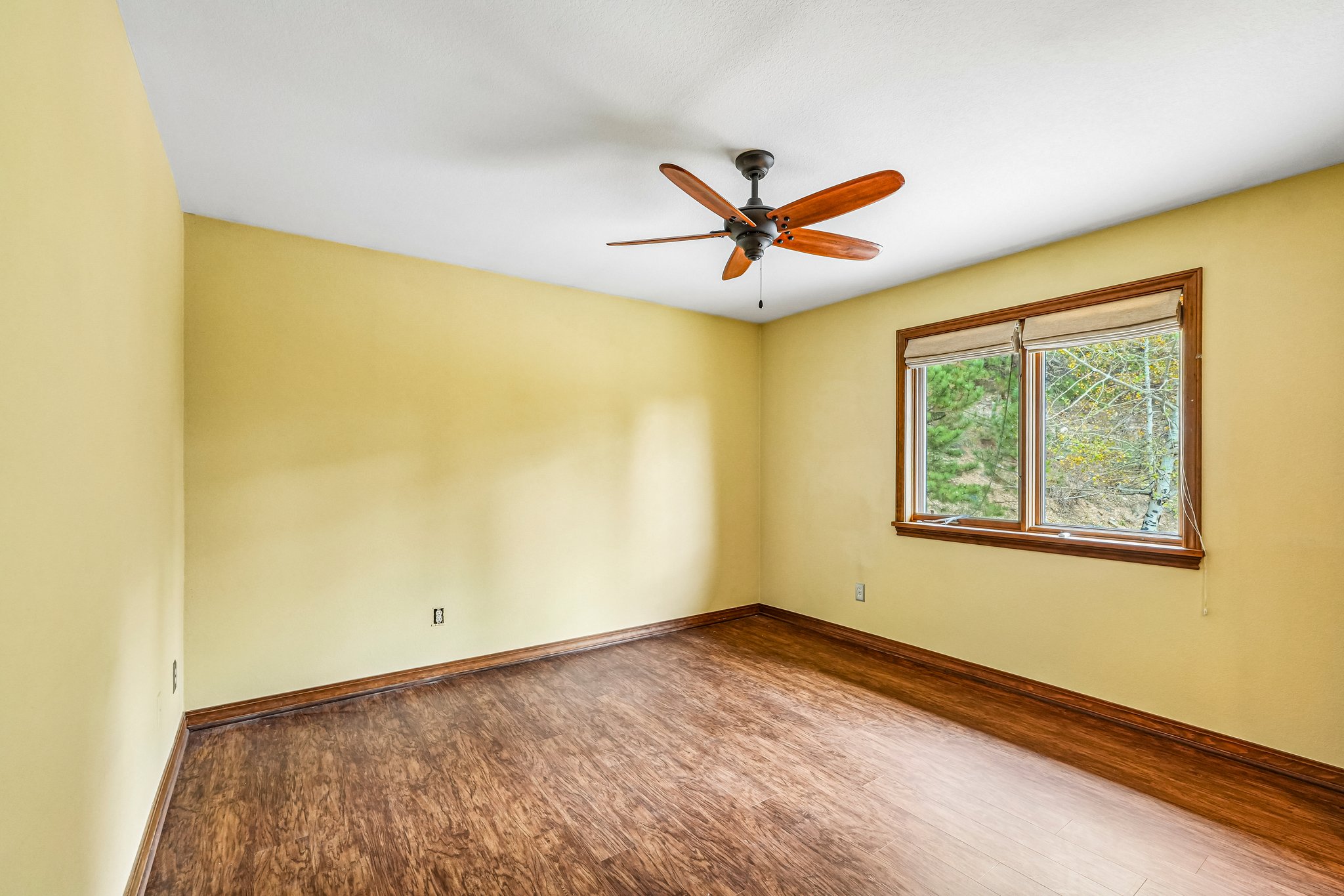 Conifer Dr-S0910-047.jpg