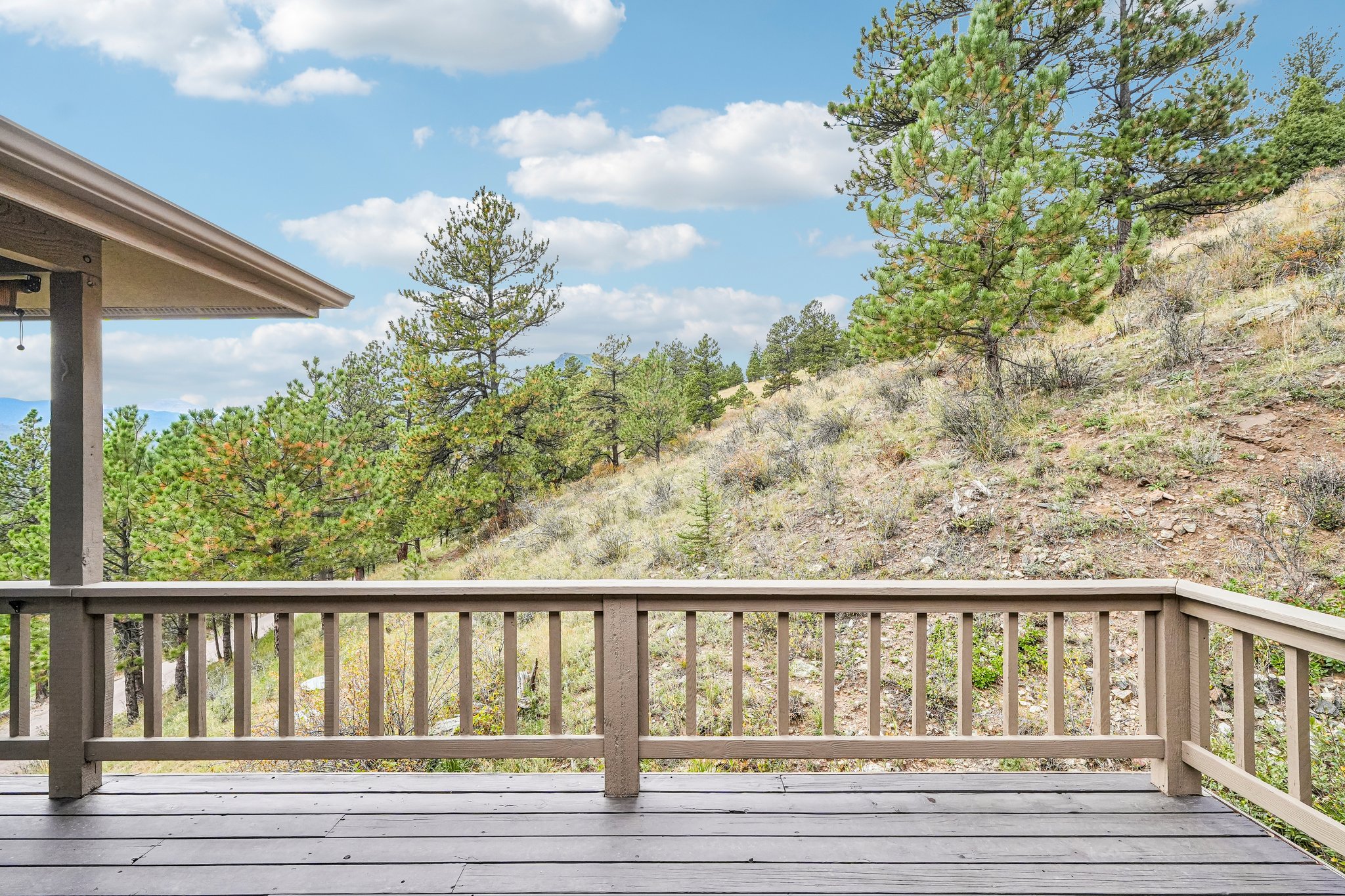 Conifer Dr-S0910-059.jpg