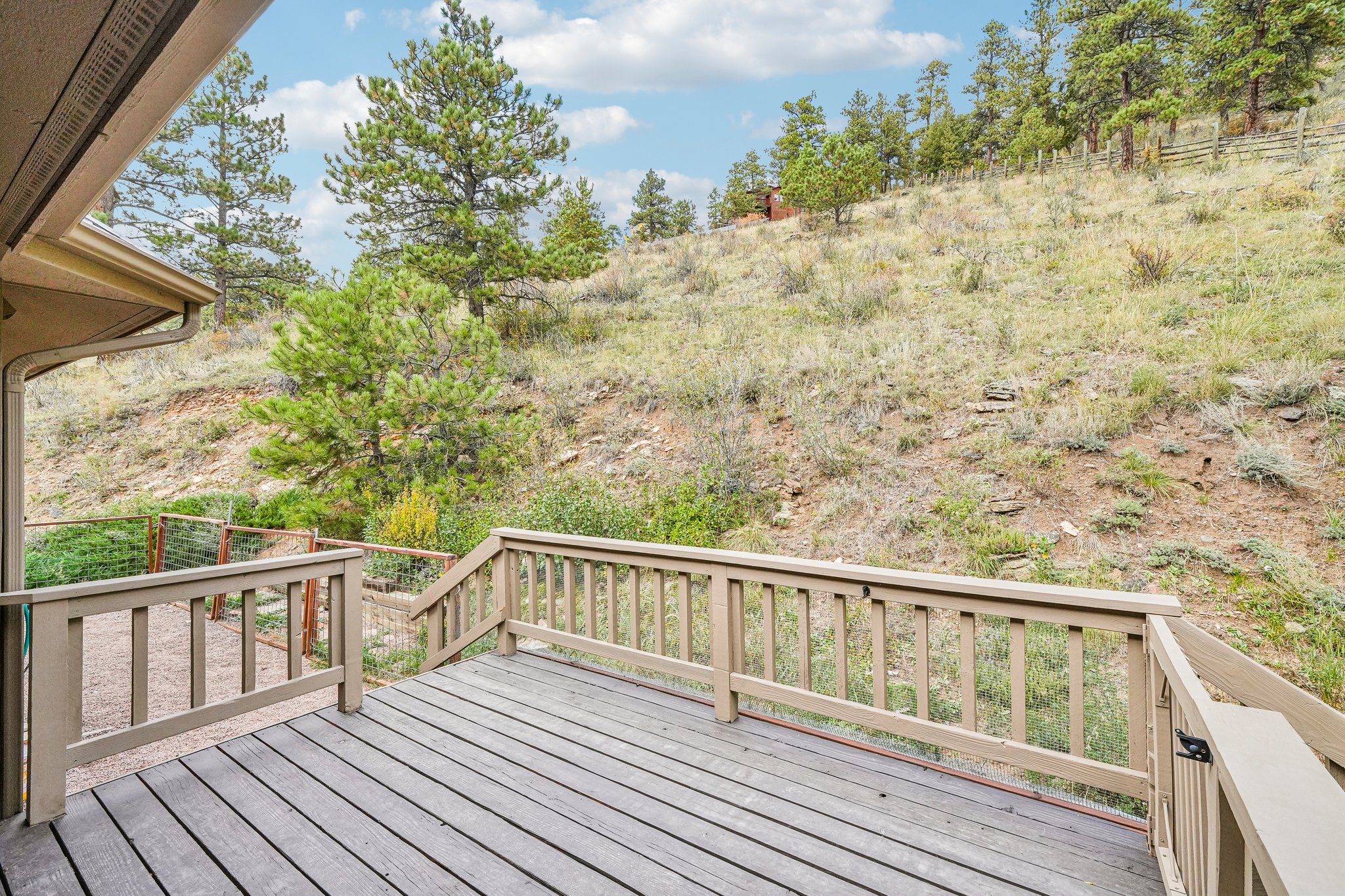 Conifer Dr-S0910-063.jpg