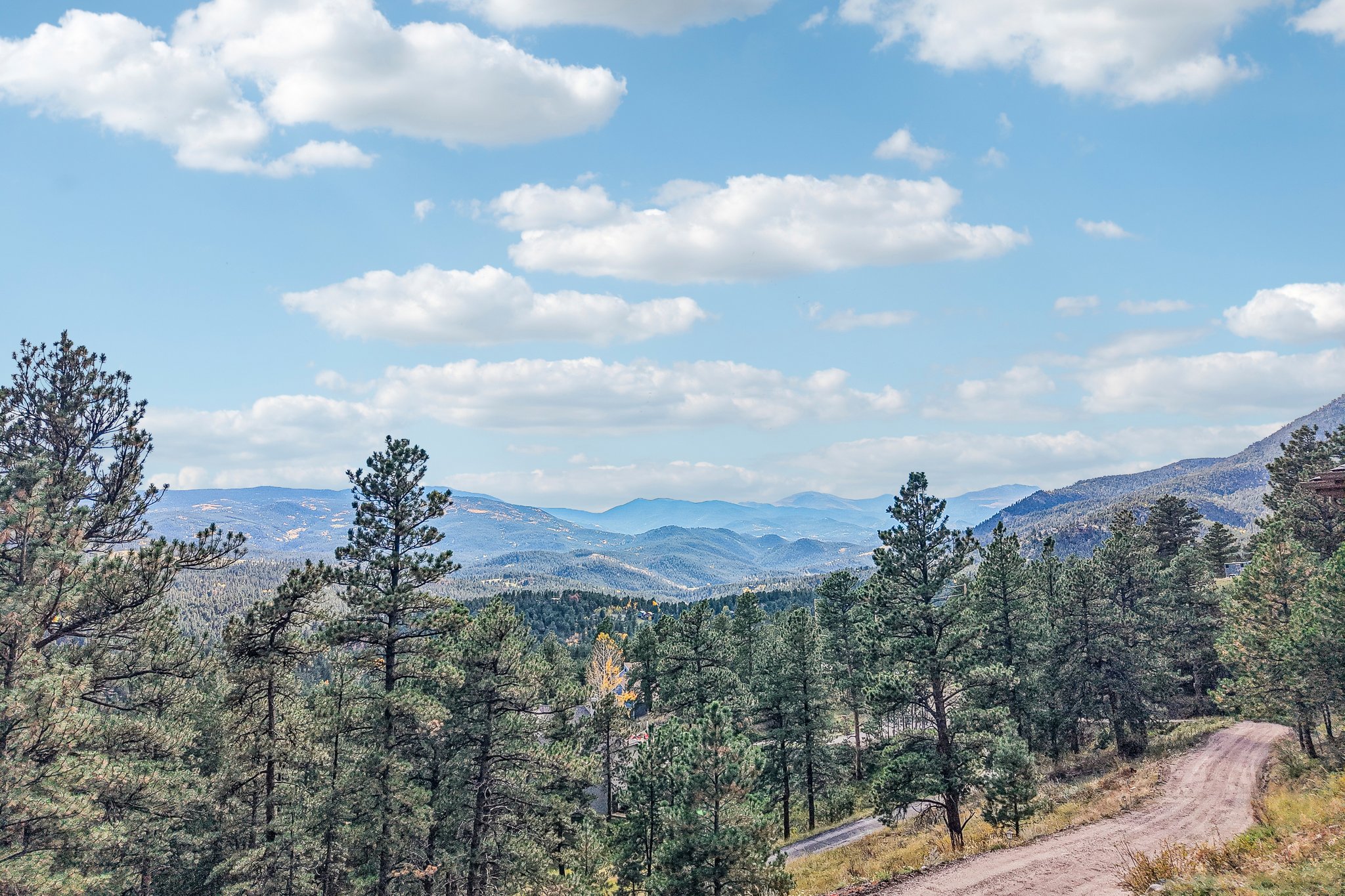 Conifer Dr-S0910-073.jpg