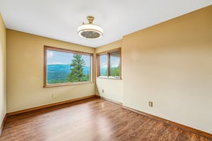 Conifer Dr-S0910-026.jpg
