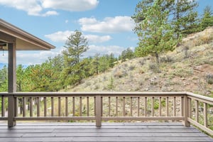 Conifer Dr-S0910-059.jpg