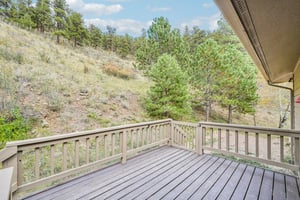 Conifer Dr-S0910-062.jpg