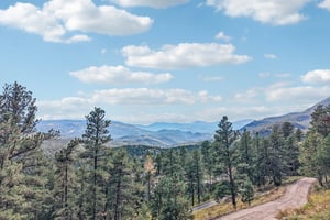Conifer Dr-S0910-073.jpg