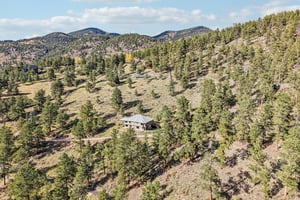 Conifer Dr-S0910-080.jpg