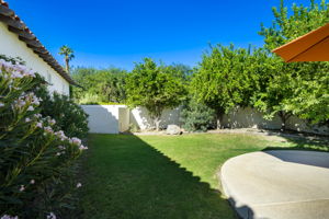  Photo 49