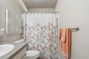  Photo 48