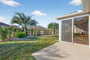Rear Patio with Privacy Landscaping