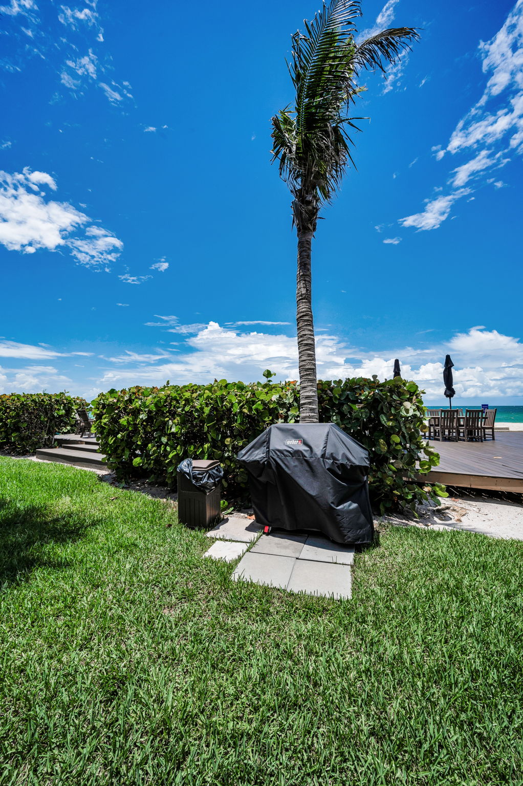 Backyard2