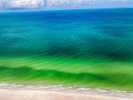 Beach100