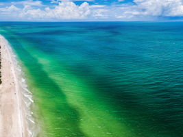 Beach101