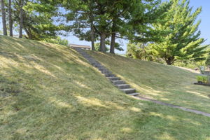  Photo 50