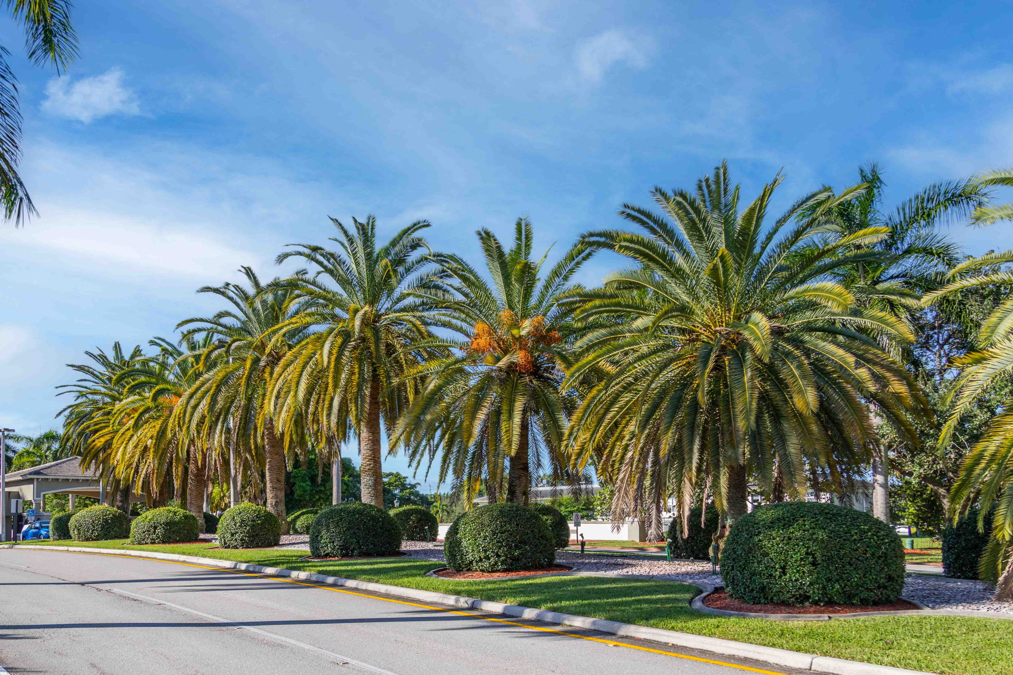 Wynmoor 10-23-22-1-4