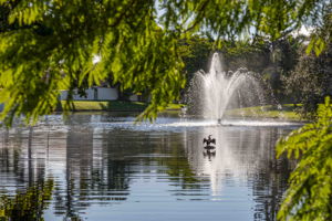 Wynmoor 10-23-22-1-7