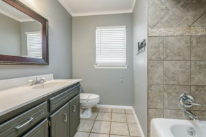 Hall Bathroom