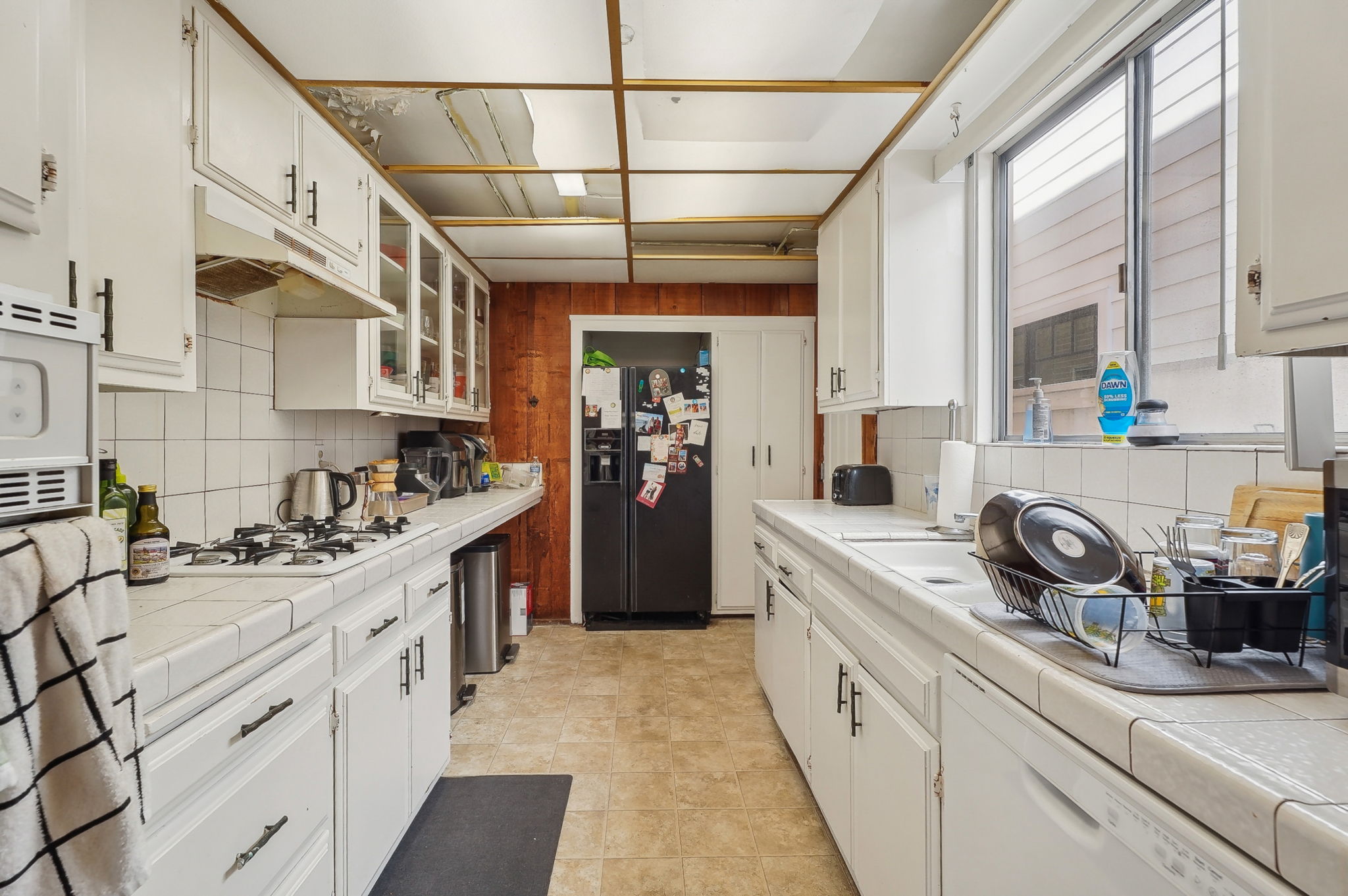 Vista Dr-28032025-012