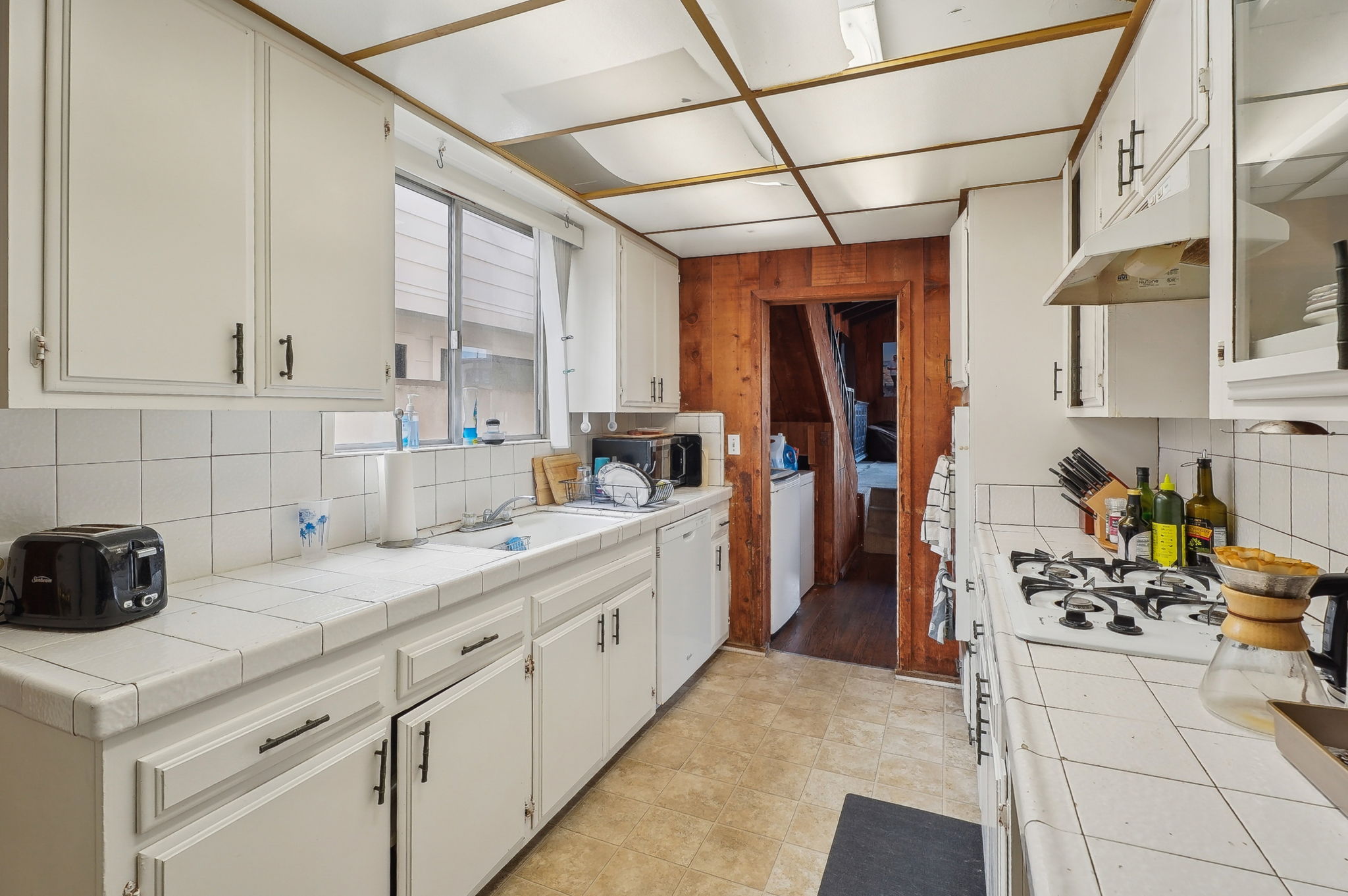 Vista Dr-28032025-013