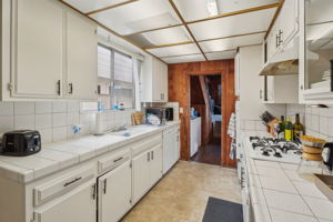 Vista Dr-28032025-013