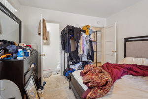 Vista Dr-28032025-025