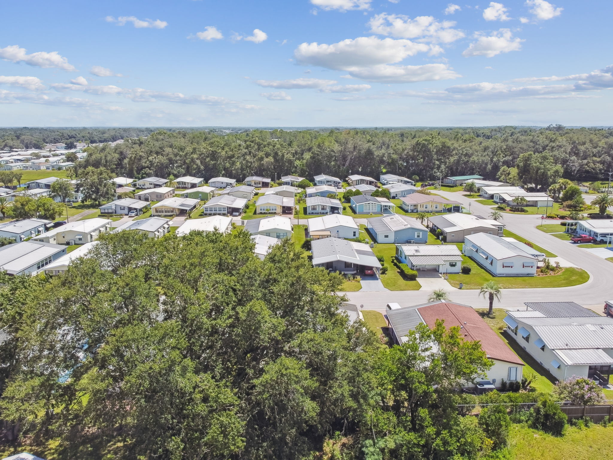 DJI_0163