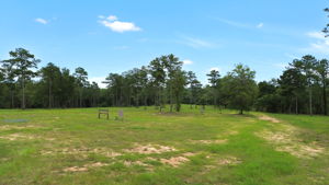  Photo 0
