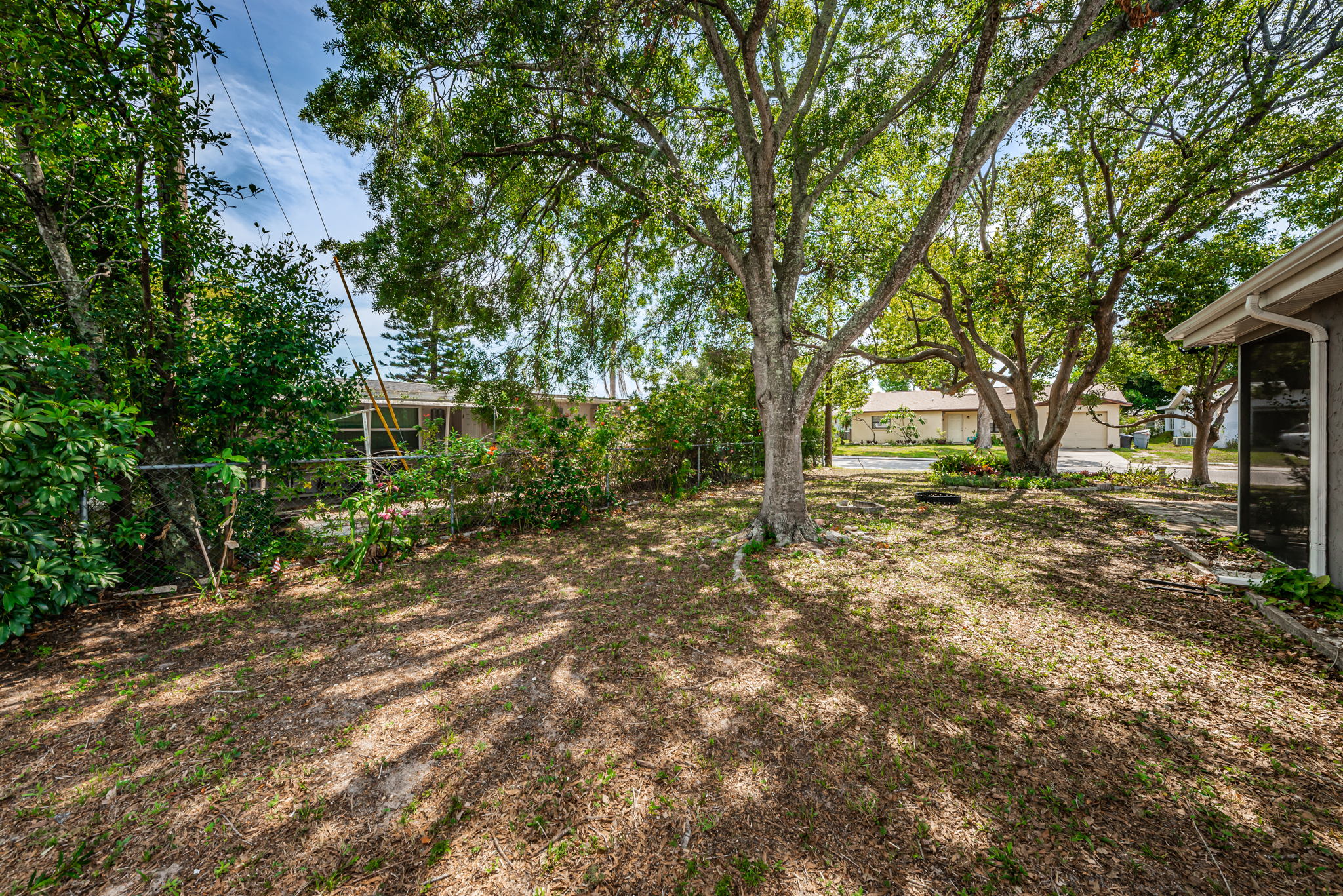 Backyard5