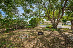 Backyard6
