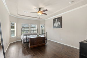 Primary suite w/tray ceiling/wood floors.
