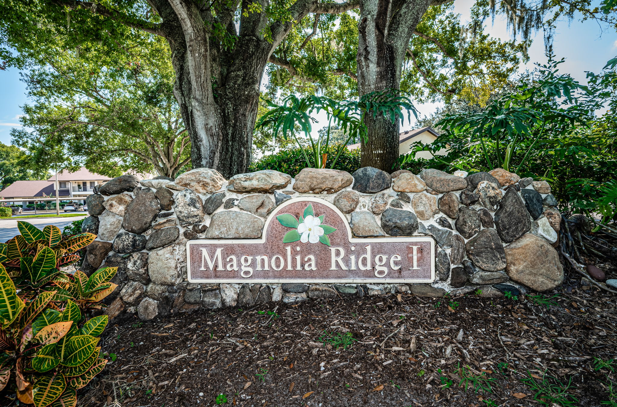 1-Magnolia Ridge