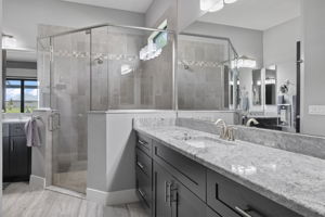 Primary Bathroom 1-2