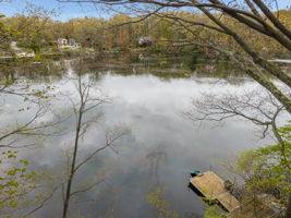  Photo 51