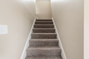  Photo 39
