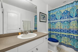 Guest Bathroom 1
