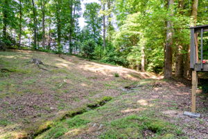  Photo 49
