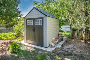 Back Yard-3