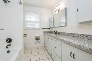 Hall Bathroom