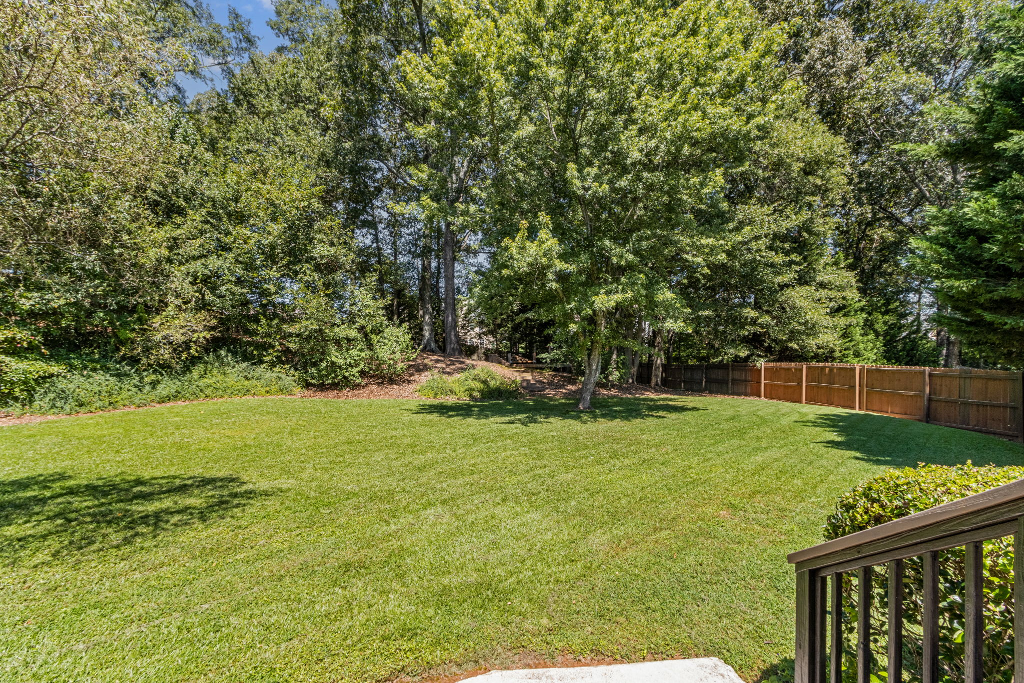 Backyard