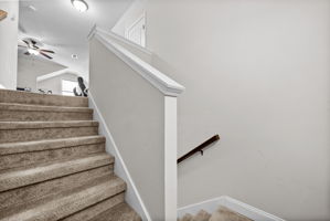  Photo 37