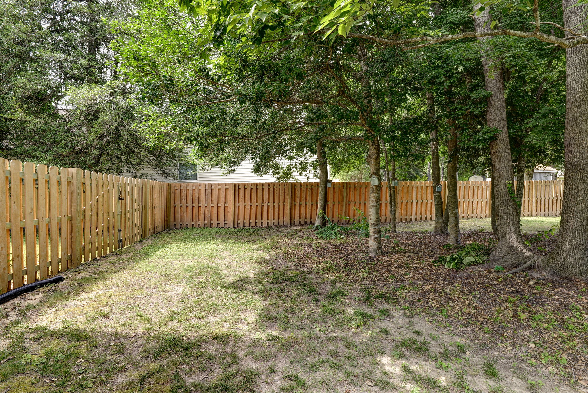  Photo 42