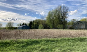 View of Property from Stark Road