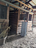 4 horse/box stalls