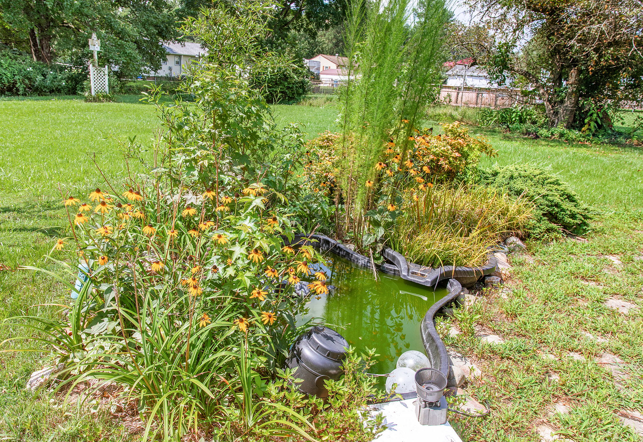 30-Pond