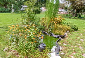 30-Pond