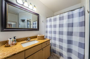 Primary Bathroom 1c