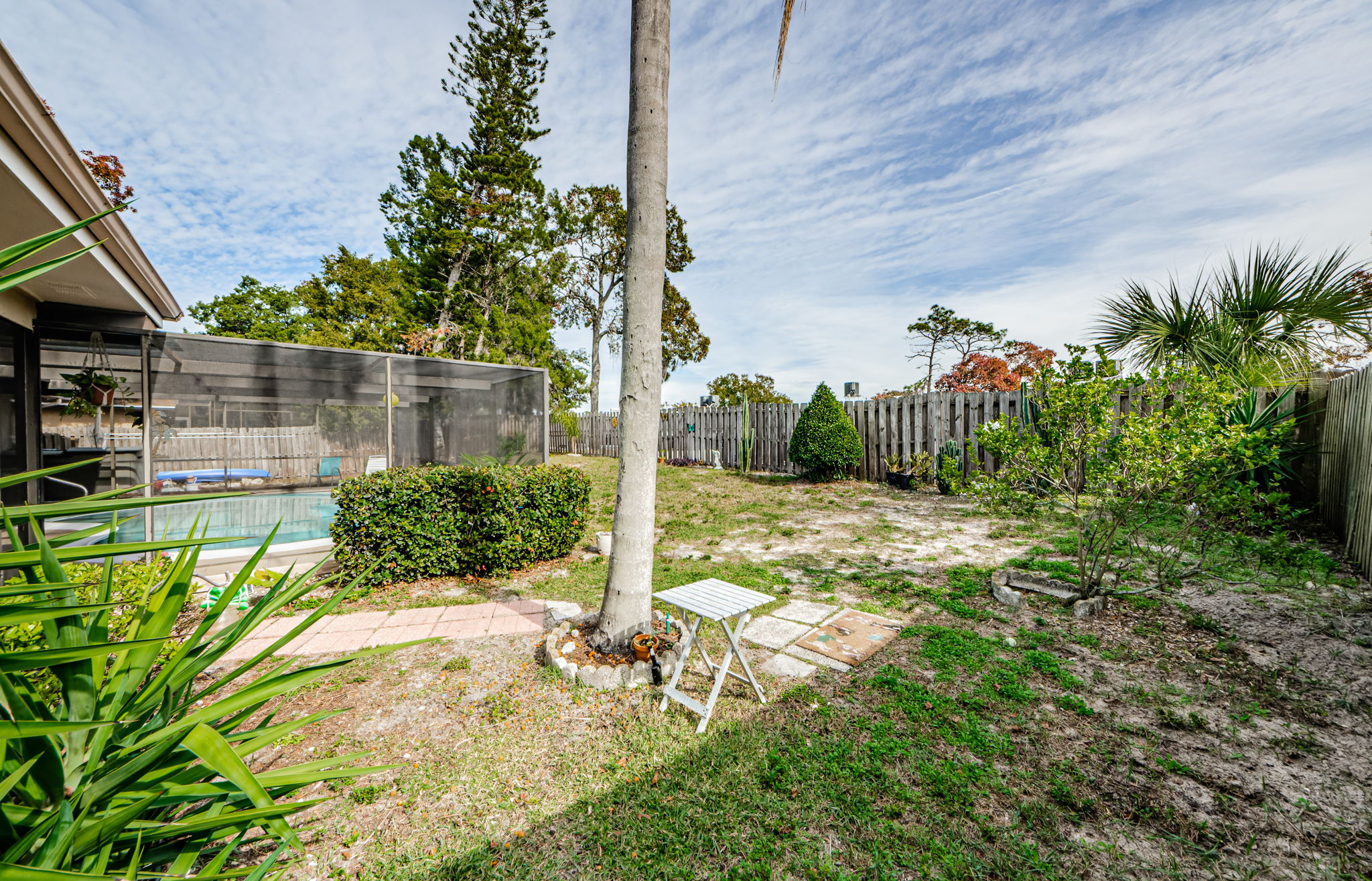 Backyard 1
