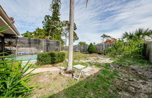 Backyard 1